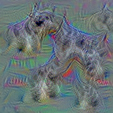 n02097130 giant schnauzer